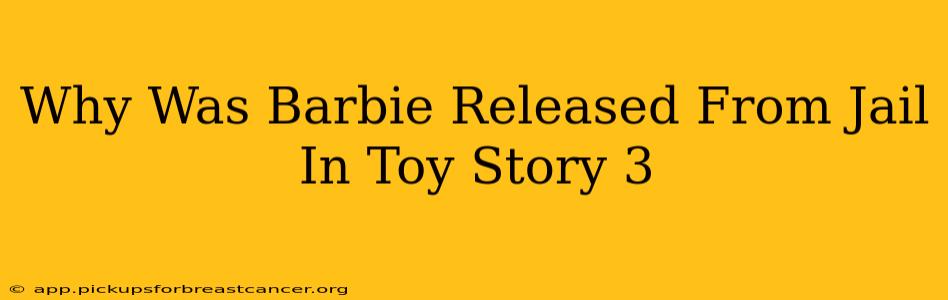 Why Was Barbie Released From Jail In Toy Story 3